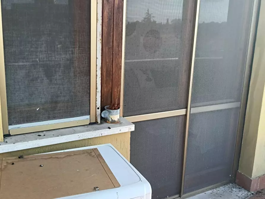 Immagine 4 di Appartamento in vendita  a Pisa