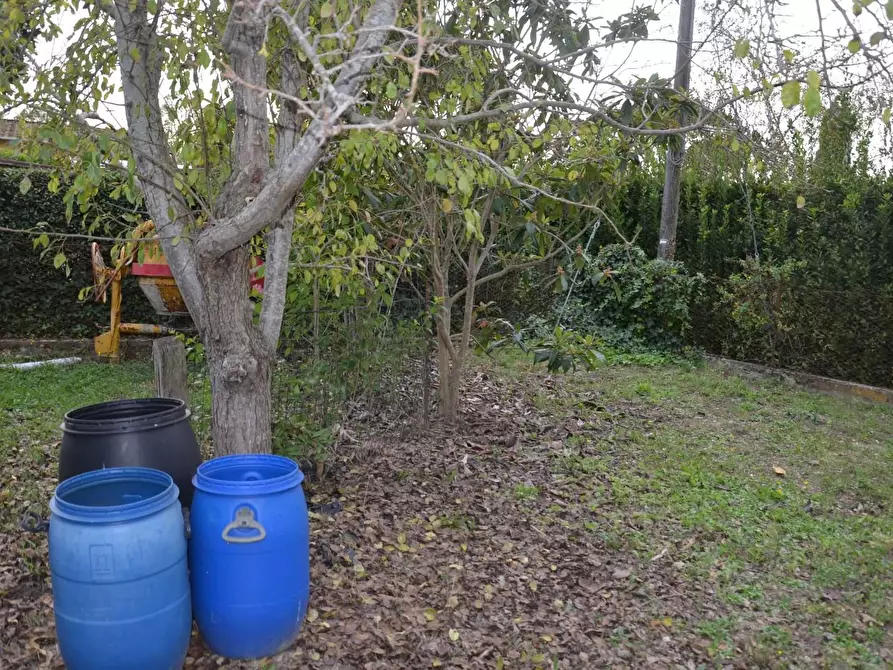 Immagine 11 di Casa bifamiliare in vendita  a San Giuliano Terme