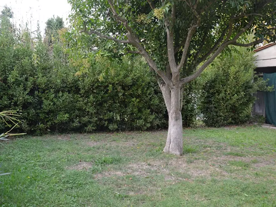 Immagine 12 di Casa bifamiliare in vendita  a San Giuliano Terme