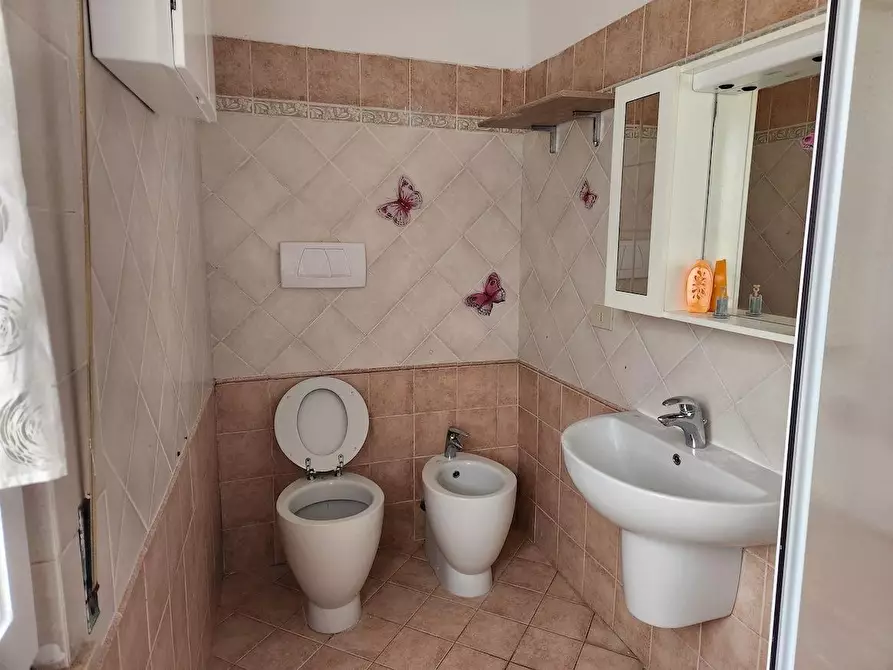 Immagine 7 di Appartamento in affitto  a Santa Croce Sull'arno