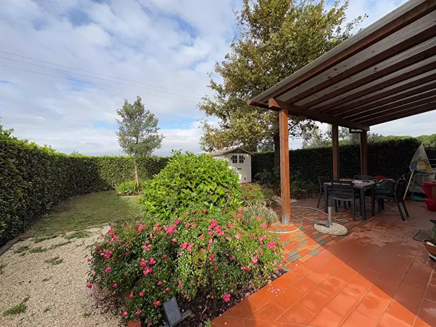 Immagine 3 di Villetta a schiera in vendita  a Casciana Terme Lari