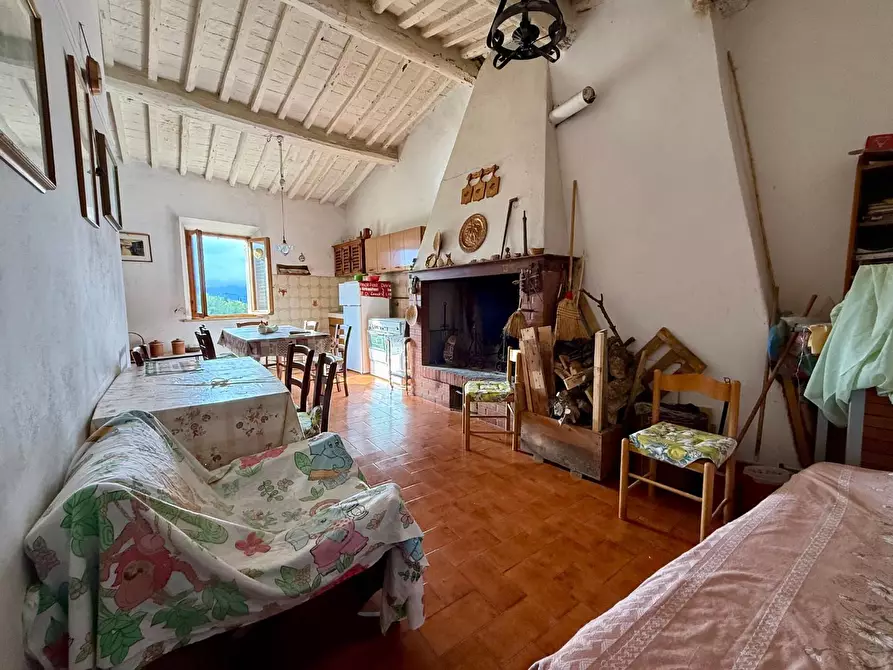 Immagine 3 di Appartamento in vendita  a Peccioli