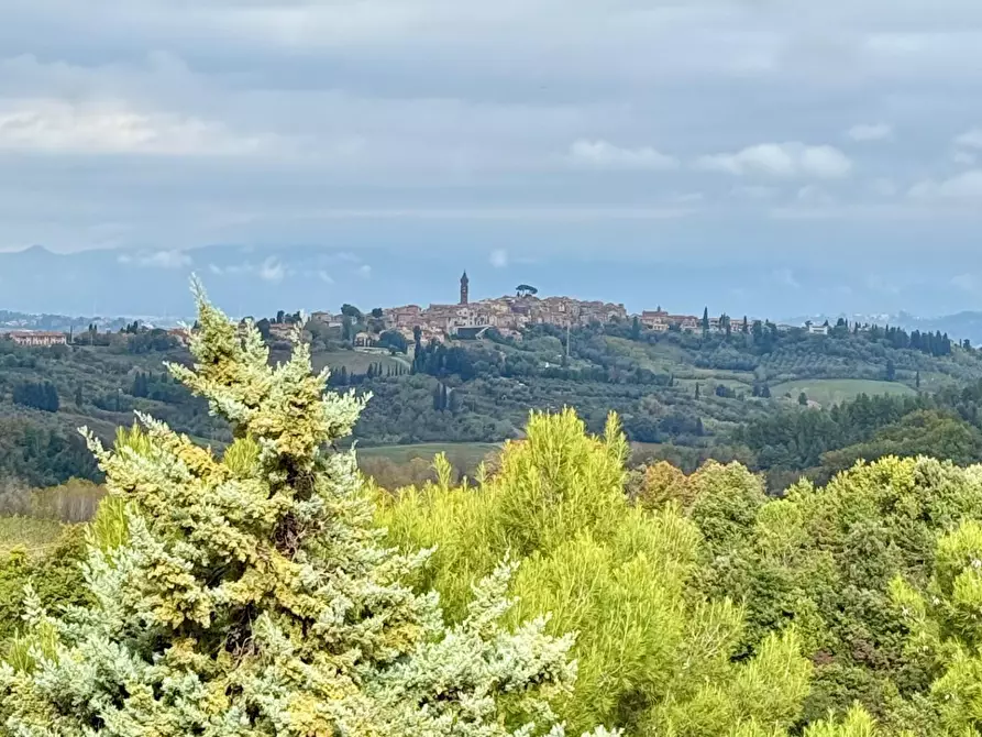 Immagine 24 di Appartamento in vendita  a Peccioli