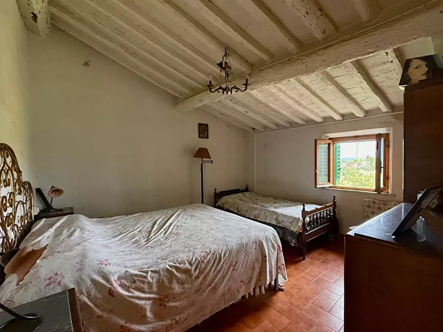 Immagine 17 di Appartamento in vendita  a Peccioli