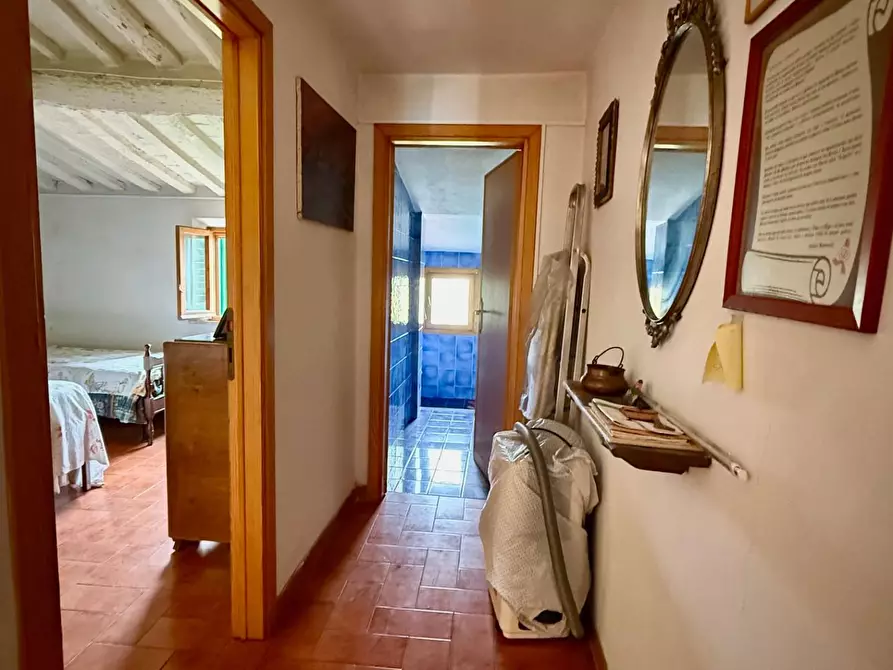 Immagine 12 di Appartamento in vendita  a Peccioli