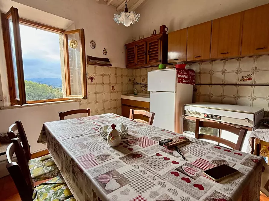 Immagine 10 di Appartamento in vendita  a Peccioli