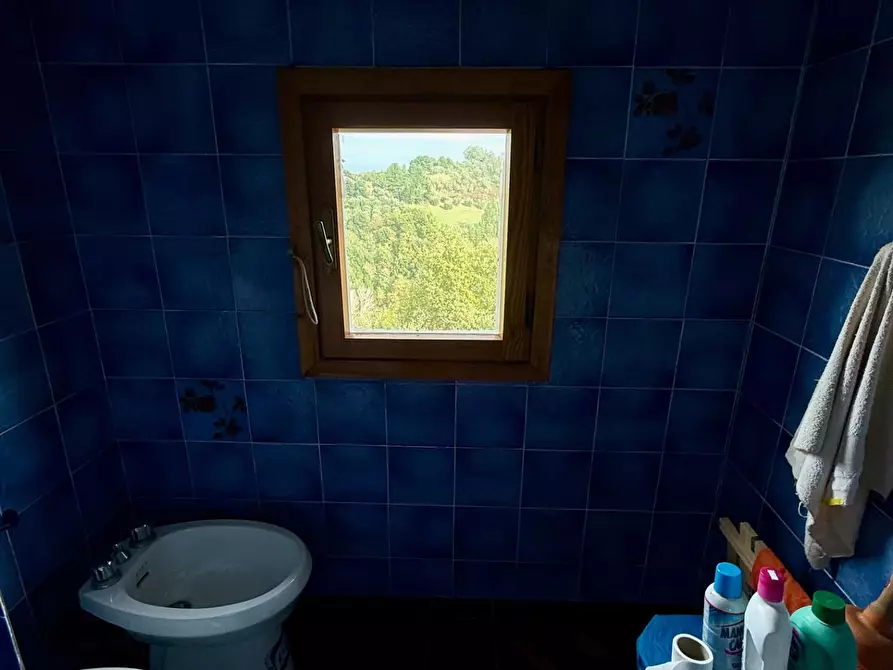 Immagine 21 di Appartamento in vendita  a Peccioli