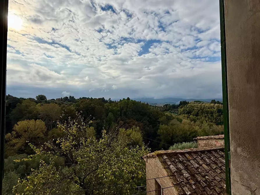 Immagine 19 di Appartamento in vendita  a Peccioli