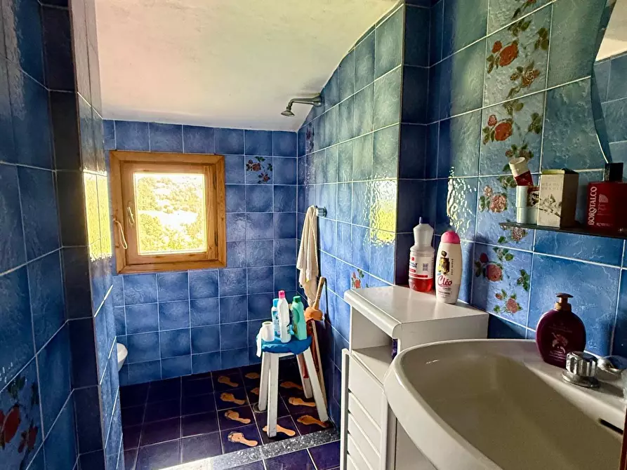 Immagine 20 di Appartamento in vendita  a Peccioli