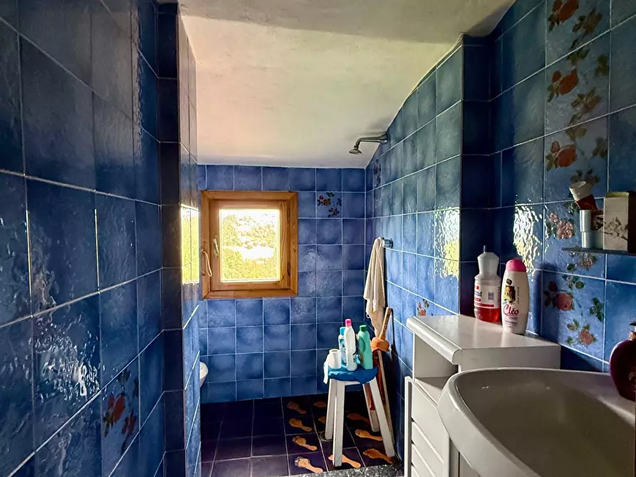 Immagine 23 di Appartamento in vendita  a Peccioli