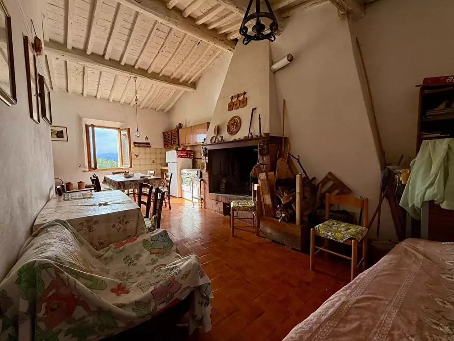 Immagine 4 di Appartamento in vendita  a Peccioli