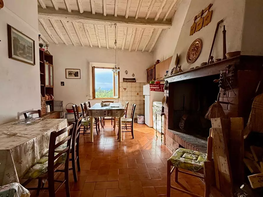 Immagine 6 di Appartamento in vendita  a Peccioli