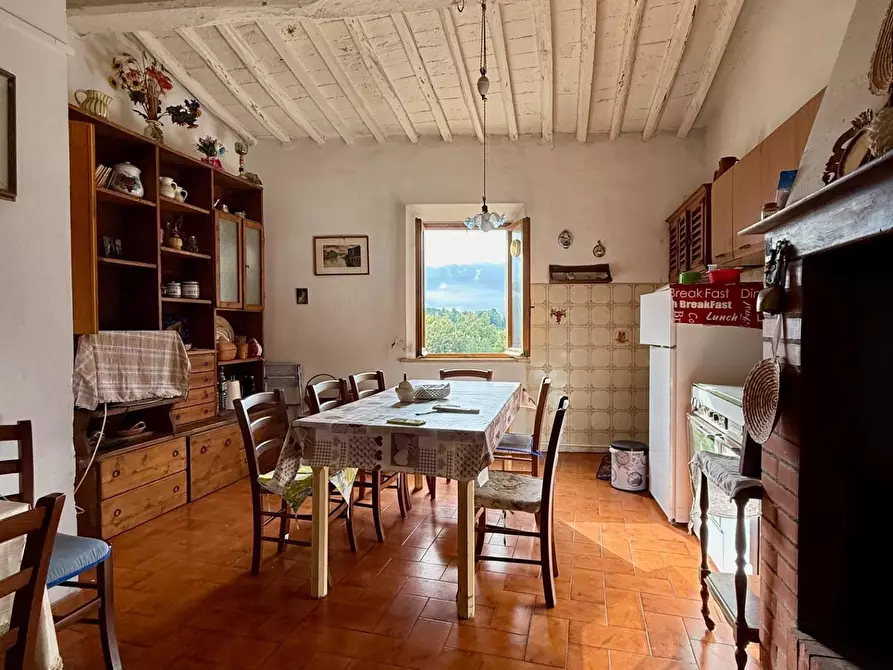 Immagine 2 di Appartamento in vendita  a Peccioli