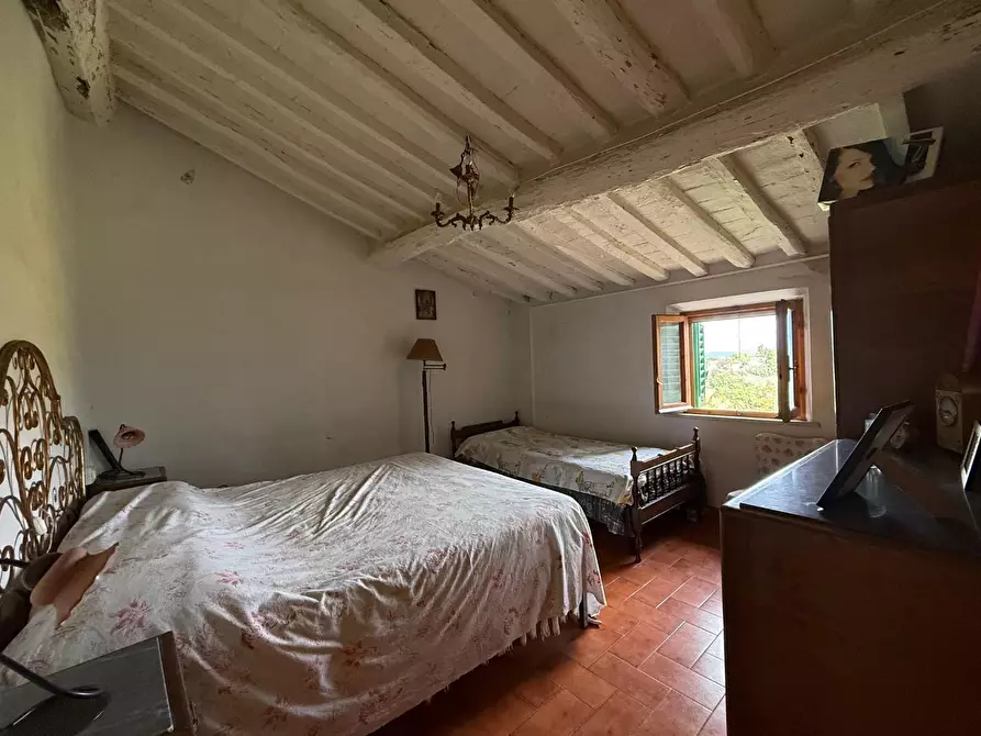 Immagine 16 di Appartamento in vendita  a Peccioli