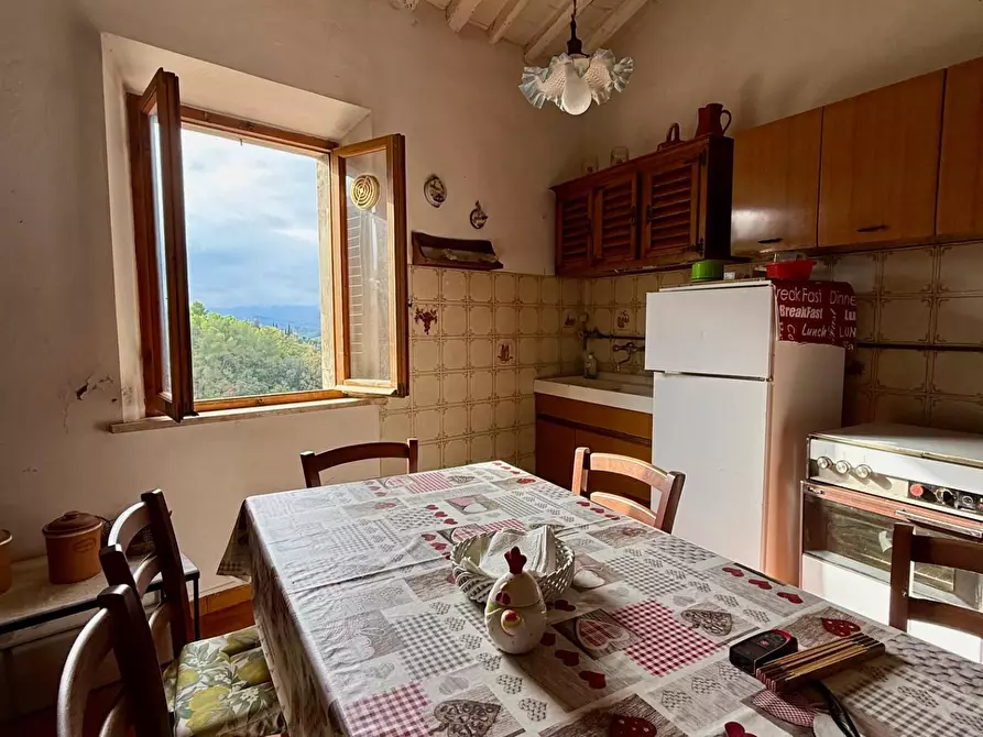 Immagine 7 di Appartamento in vendita  a Peccioli