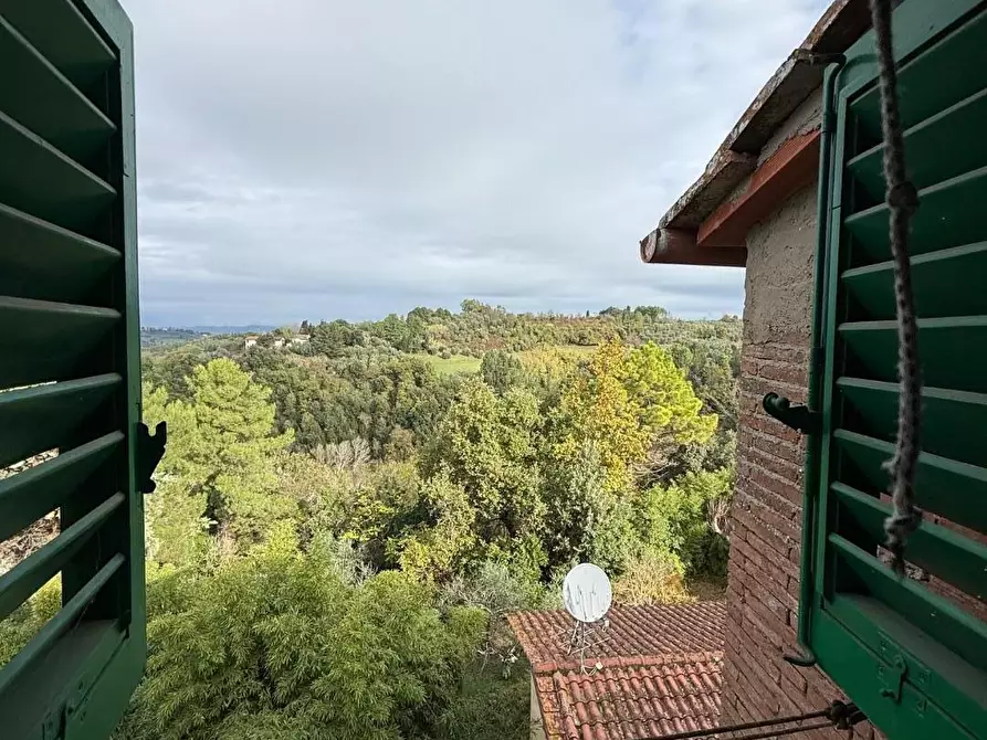 Immagine 15 di Appartamento in vendita  a Peccioli