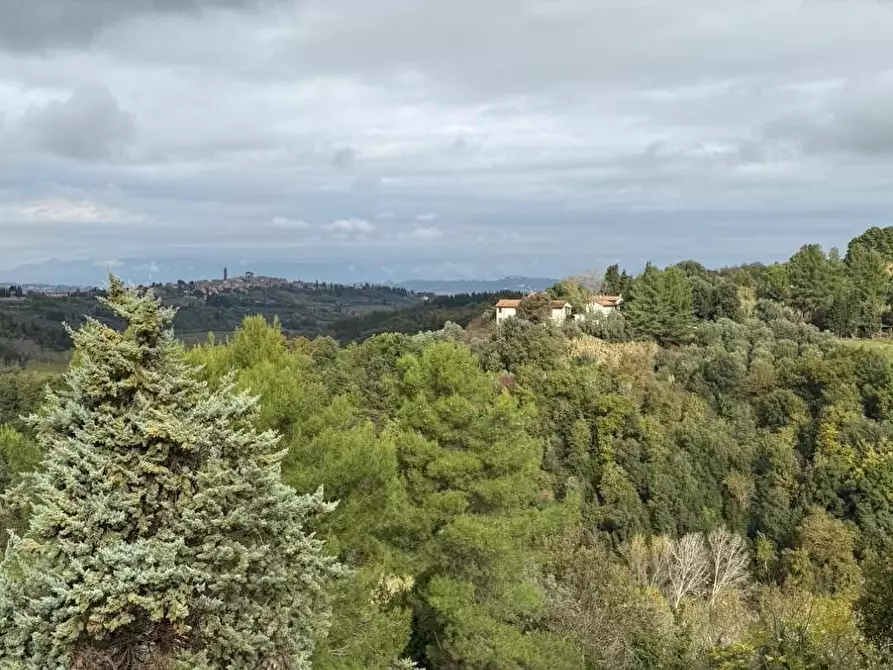 Immagine 26 di Appartamento in vendita  a Peccioli