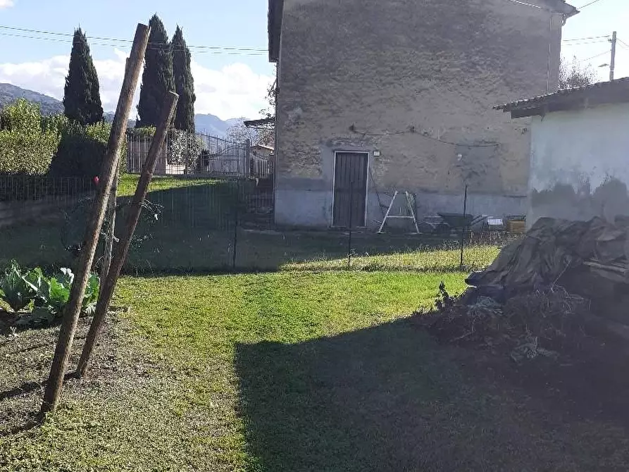 Immagine 17 di Casa colonica in vendita  a Massa