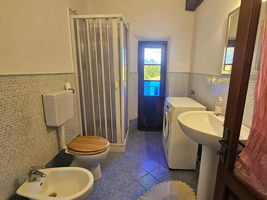 Immagine 27 di Appartamento in affitto  a Crespina Lorenzana