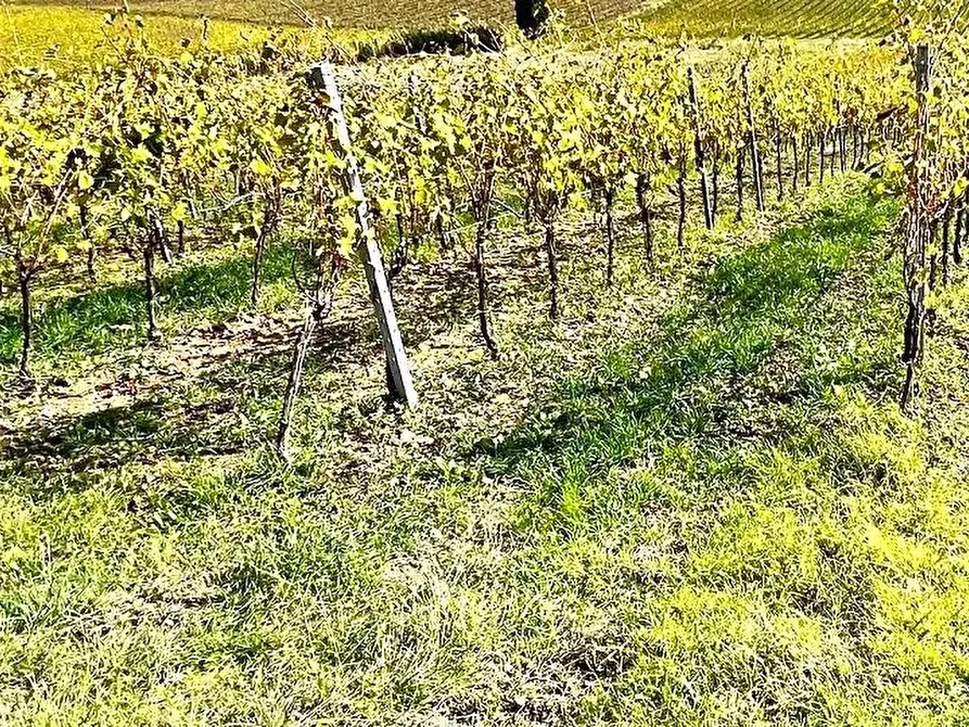 Immagine 3 di Casa colonica in vendita  a Cerreto Guidi