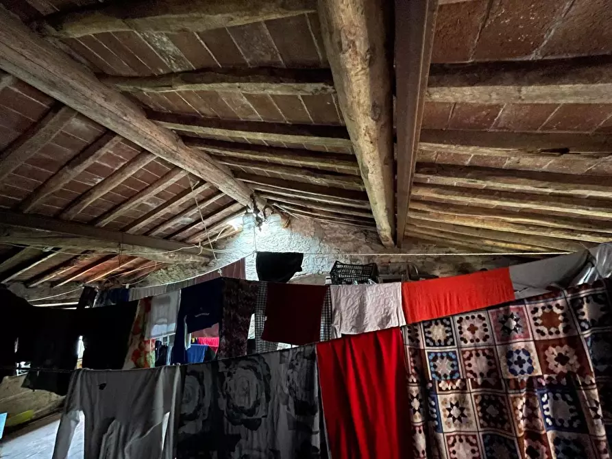 Immagine 16 di Terratetto in vendita  a Capannori