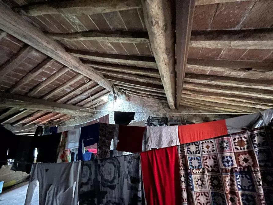 Immagine 15 di Terratetto in vendita  a Capannori