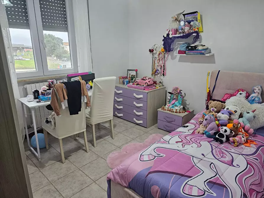 Immagine 11 di Appartamento in vendita  a Collesalvetti