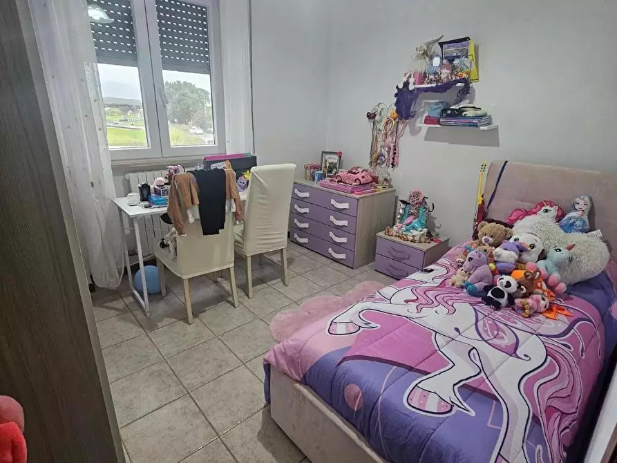 Immagine 10 di Appartamento in vendita  a Collesalvetti