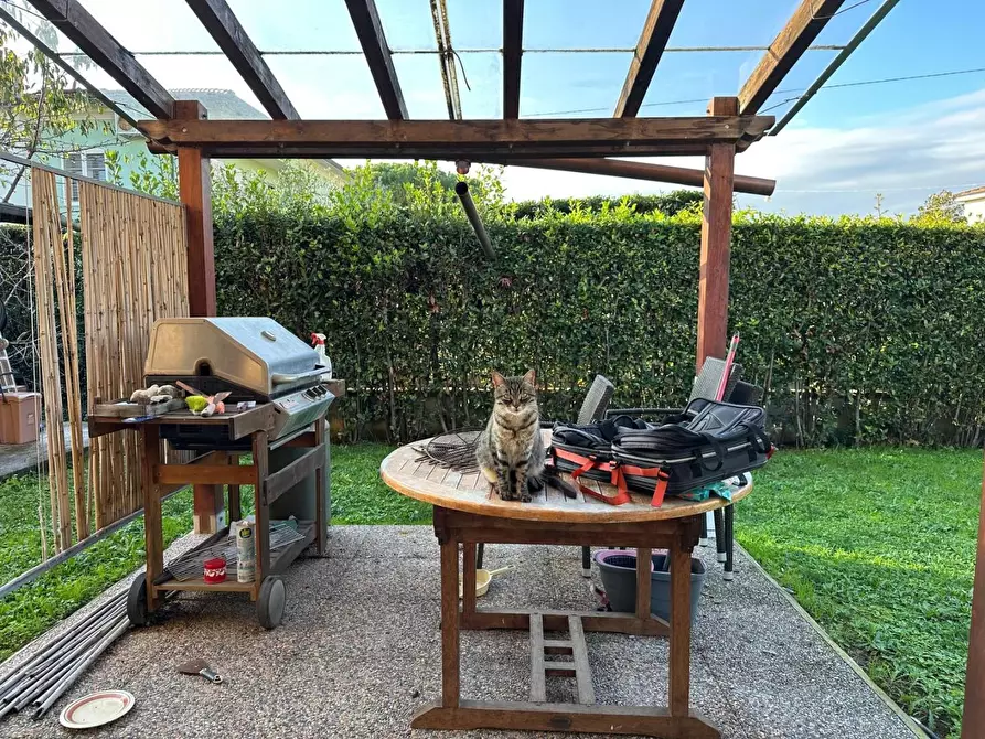 Immagine 11 di Villa in vendita  a Capannori