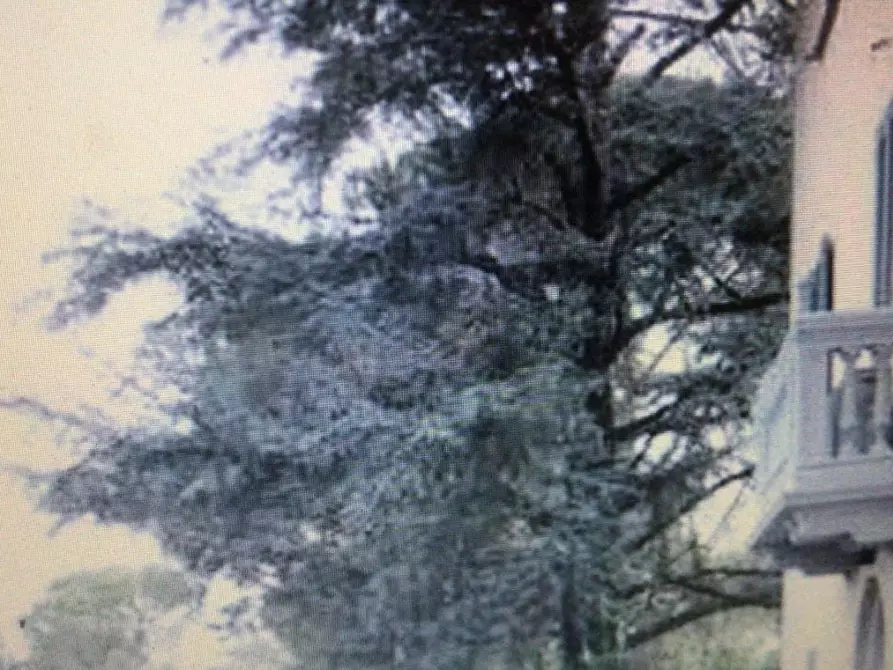 Immagine 4 di Villa in vendita  a Quarrata