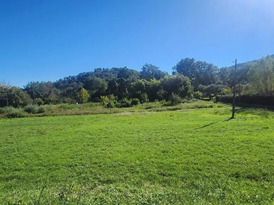 Immagine 17 di Appartamento in vendita  a Vicopisano