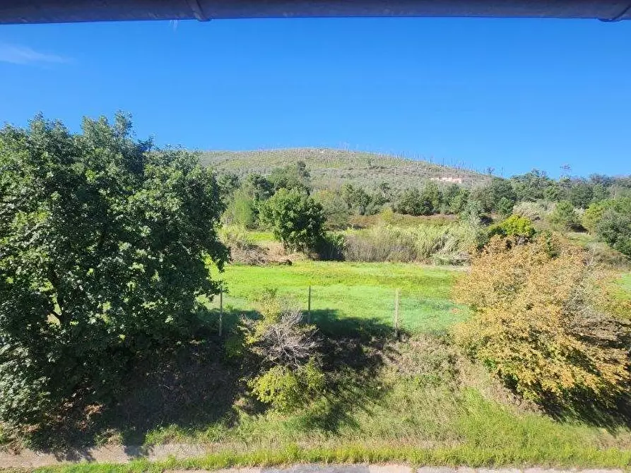 Immagine 16 di Appartamento in vendita  a Vicopisano