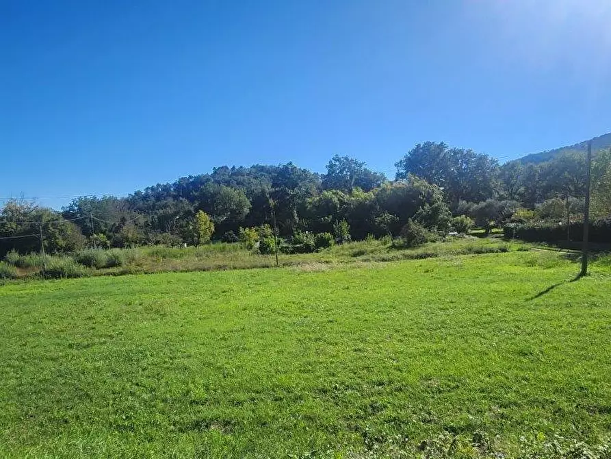 Immagine 2 di Appartamento in vendita  a Vicopisano