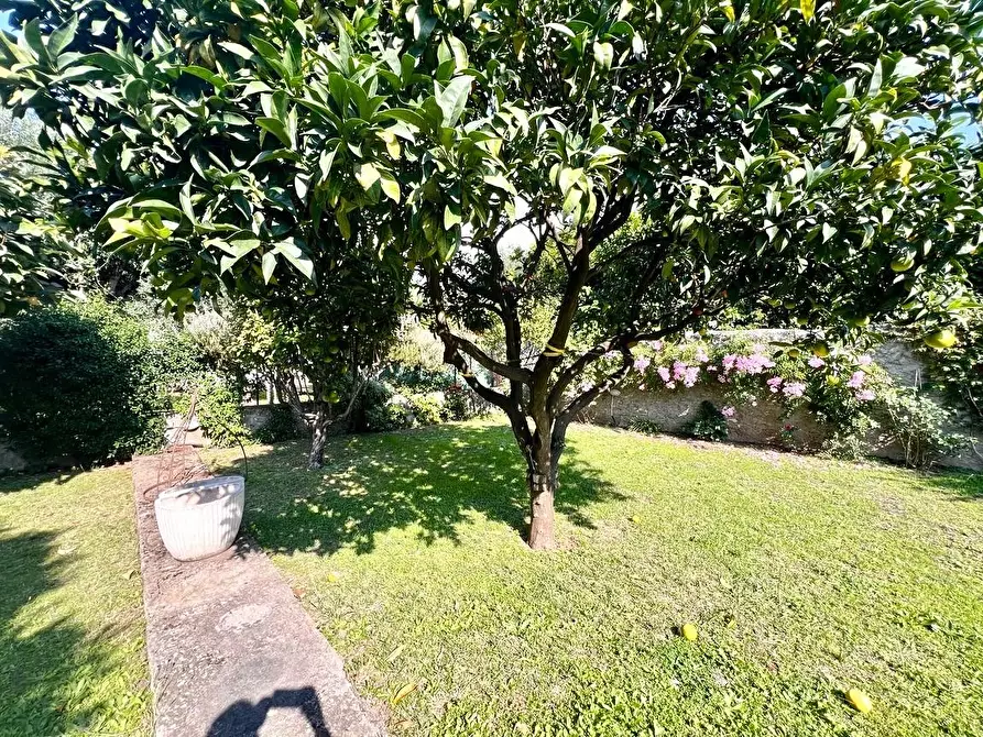 Immagine 22 di Casa semindipendente in vendita  a Seravezza