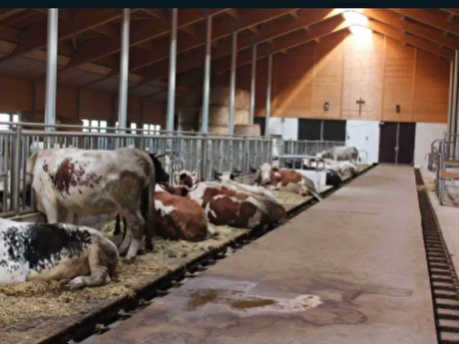 Immagine 2 di Casa colonica in vendita  a Sauze Di Cesana