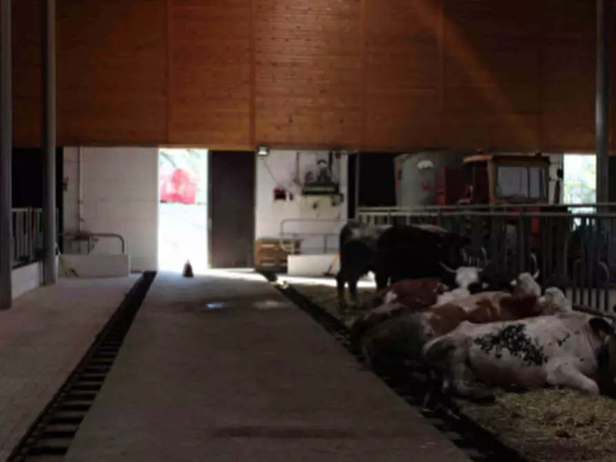 Immagine 4 di Casa colonica in vendita  a Sauze Di Cesana