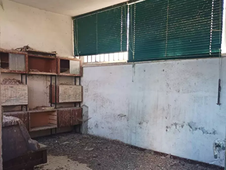 Immagine 9 di Terratetto in vendita  a Caluso