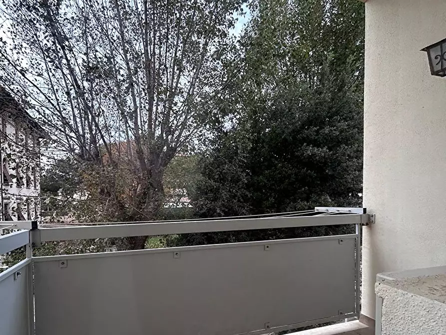 Immagine 6 di Appartamento in vendita  a Livorno