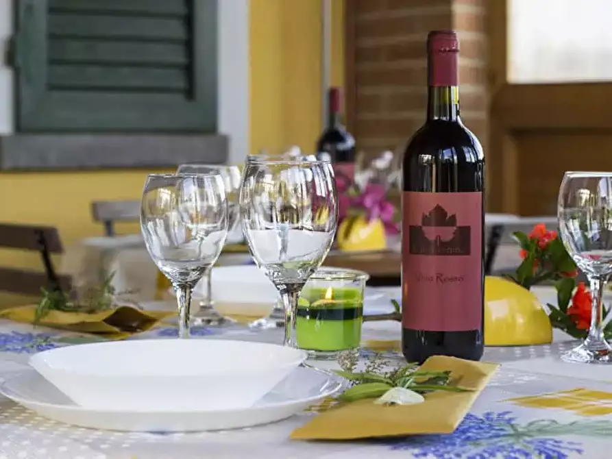 Immagine 18 di Casa colonica in vendita  a Castagneto Carducci