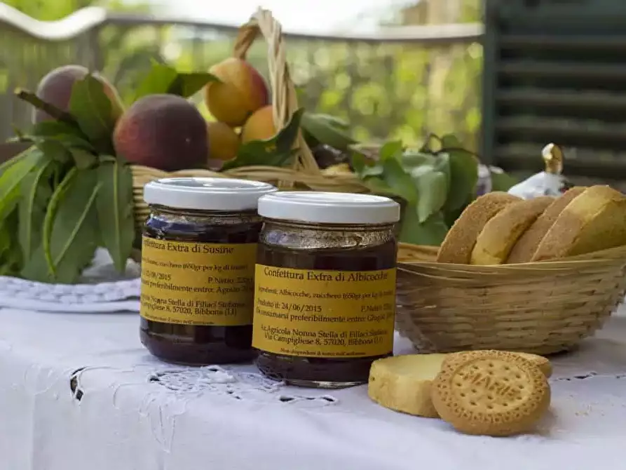 Immagine 16 di Casa colonica in vendita  a Castagneto Carducci