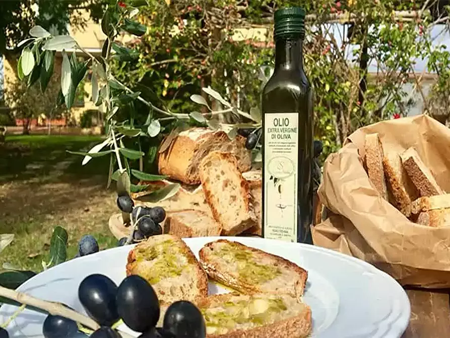 Immagine 10 di Casa colonica in vendita  a Castagneto Carducci