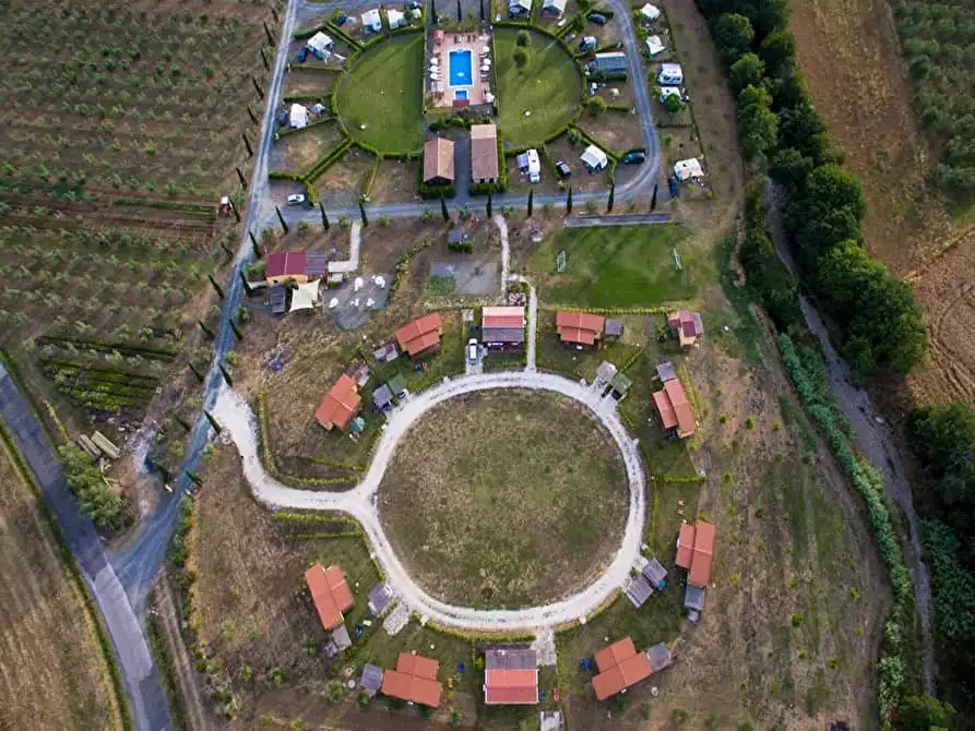 Immagine 2 di Casa colonica in vendita  a Castagneto Carducci