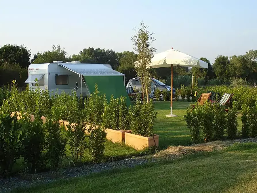 Immagine 20 di Casa colonica in vendita  a Castagneto Carducci