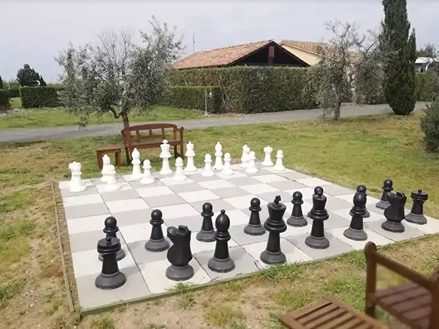 Immagine 22 di Casa colonica in vendita  a Castagneto Carducci