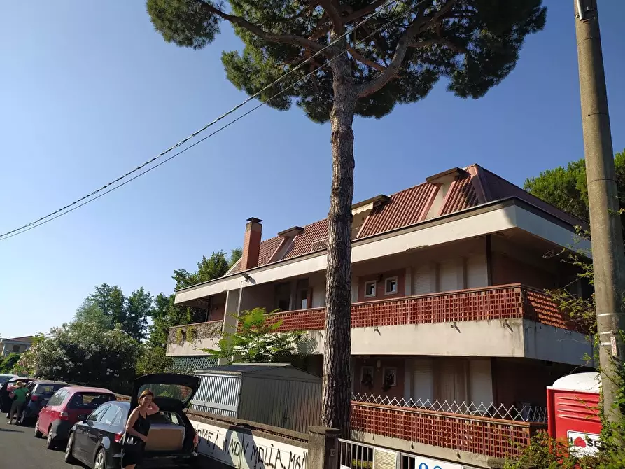 Immagine 8 di Appartamento in affitto  a Massa