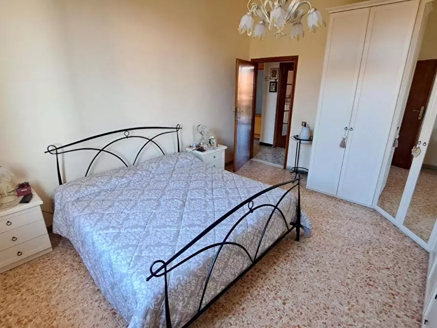 Immagine 15 di Appartamento in vendita  a Rosignano Marittimo