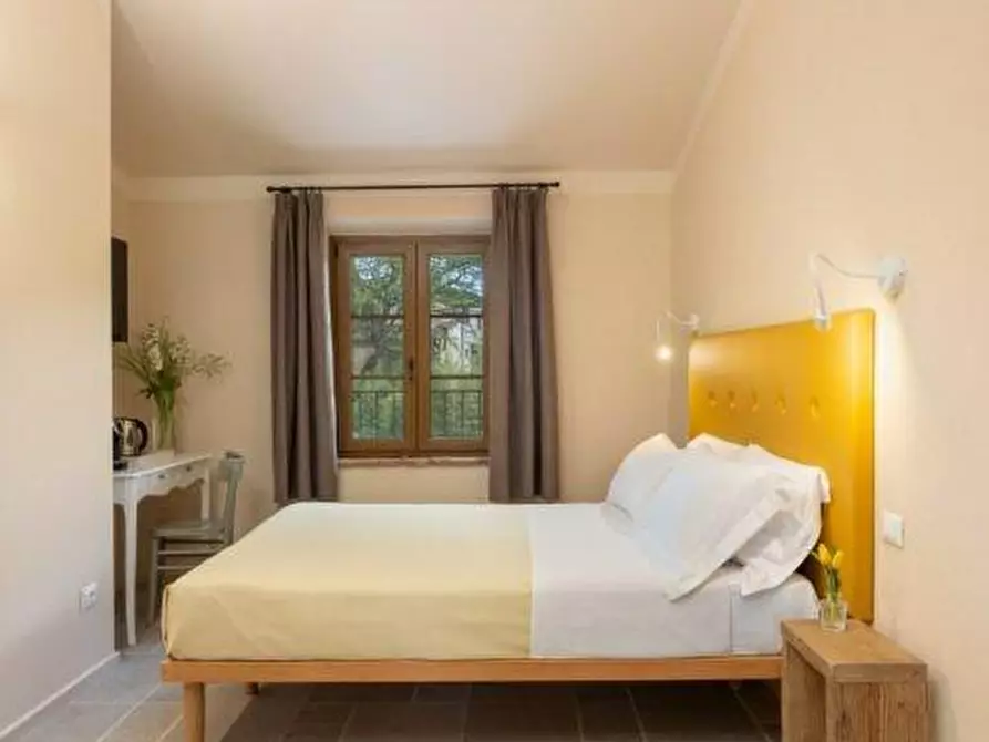 Immagine 17 di Agriturismo in vendita  a Fauglia