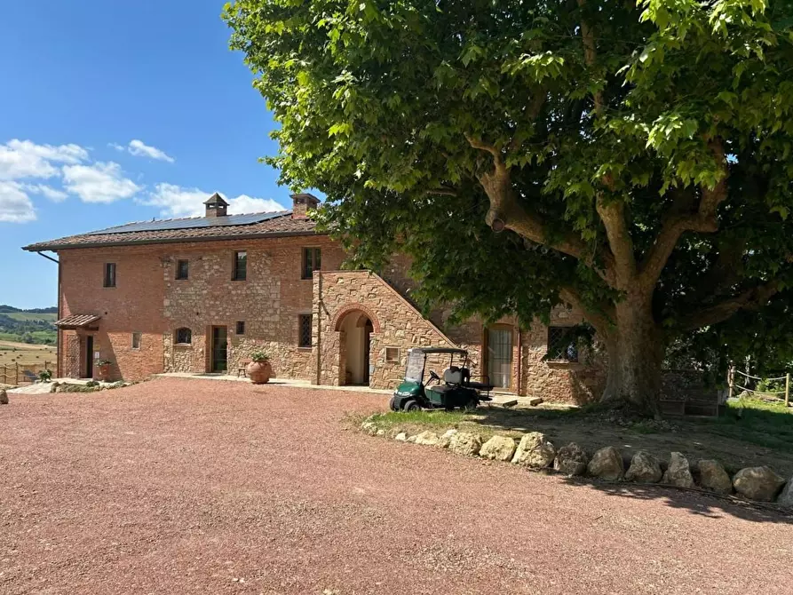 Immagine 2 di Agriturismo in vendita  a Fauglia