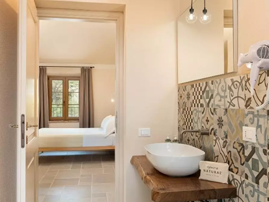 Immagine 18 di Agriturismo in vendita  a Fauglia