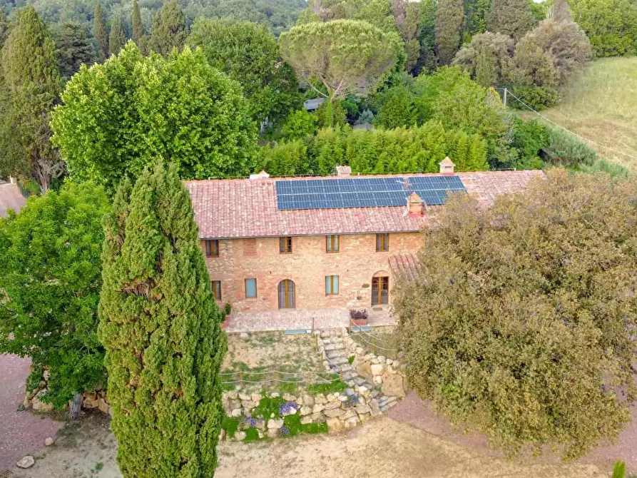 Immagine 3 di Agriturismo in vendita  a Fauglia